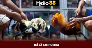 Đá Gà Campuchia